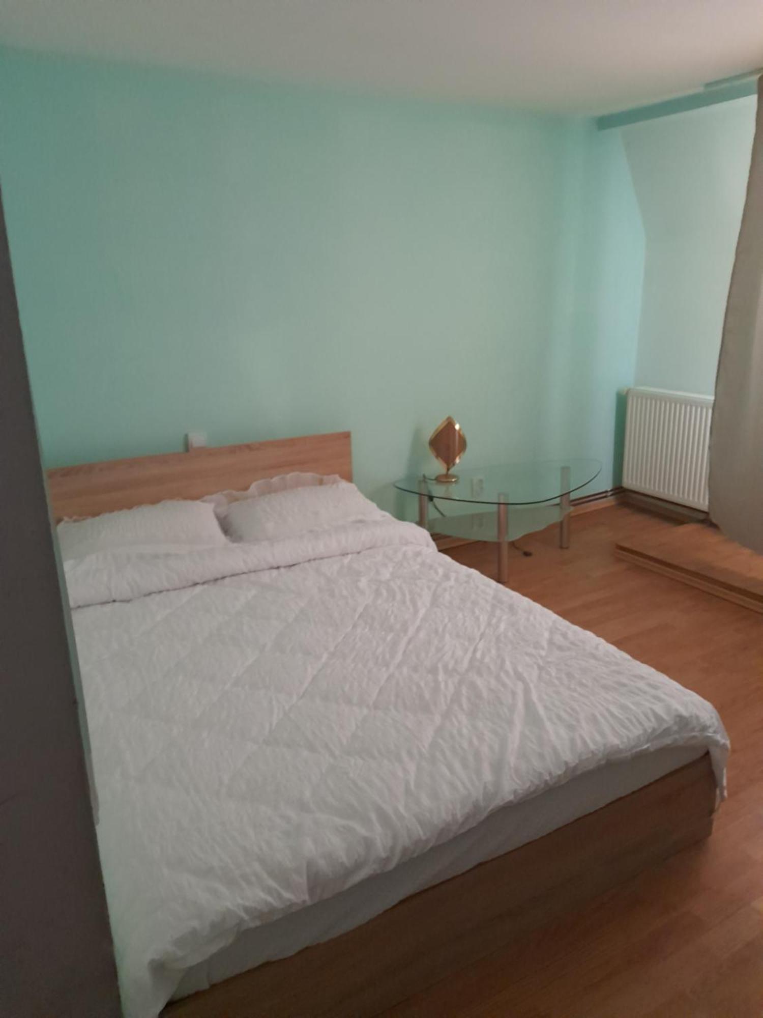 클루지나포카 Garsoniera Sic Zona Terapia Zona Linistita La Casa Cu Parcare 아파트 외부 사진